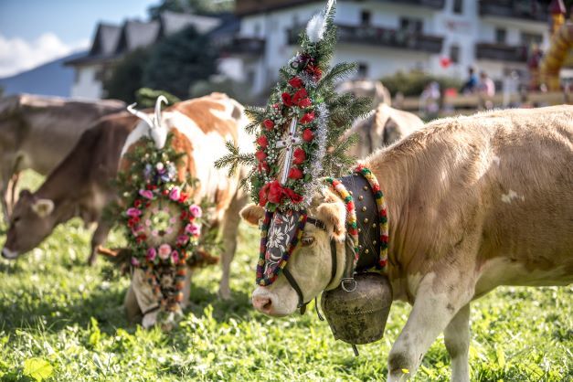 Alpabzug-Züglete Gstaad